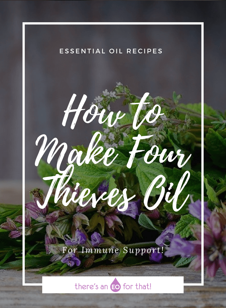 How to Make Four Thieves Oil - This fabled blend will keep you well all season long and has many uses in the home!