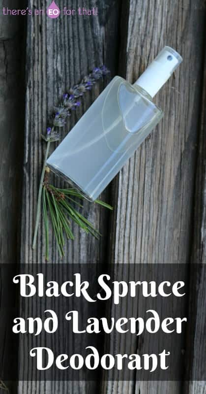 Black Spruce and Lavender Deodorant - This black spruce and lavender deodorant is resinous and coniferous in aroma and is uplifting yet grounding in nature. Perfect for wintertime odor control!