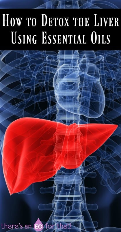 How to Detox the Liver Using Essential Oils - Stimulate bile flow, detox, regeneration, fatty liver reversal, and overall liver health.