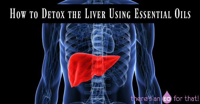 How to Detox the Liver Using Essential Oils