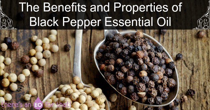 The Benefits and Properties of Black Pepper Essential Oil