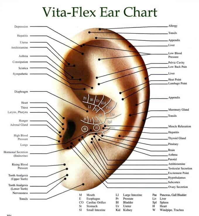 ear vita flex points