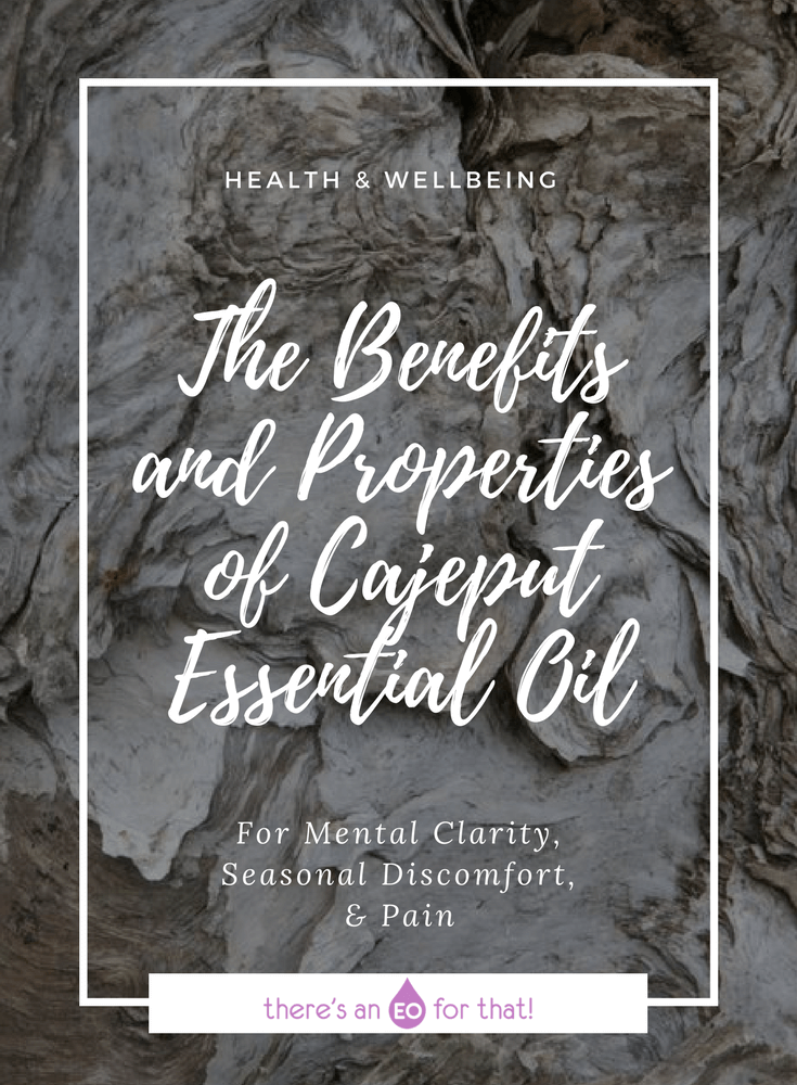 The Benefits and Properties of Cajeput Essential Oil - Cajeput essential oils has been used for respiratory ailments, aches and pains, and for mental clarity.