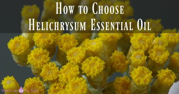 How to Choose Helichrysum Essential Oil