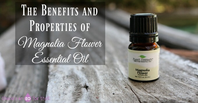 The Benefits and Properties of Magnolia Flower Essential Oil