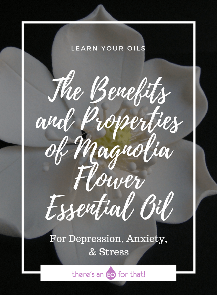 The Benefits and Properties of Magnolia Flower Essential Oil - Learn about this amazingly exotic essential oil that smells like fruity, floral champagne!