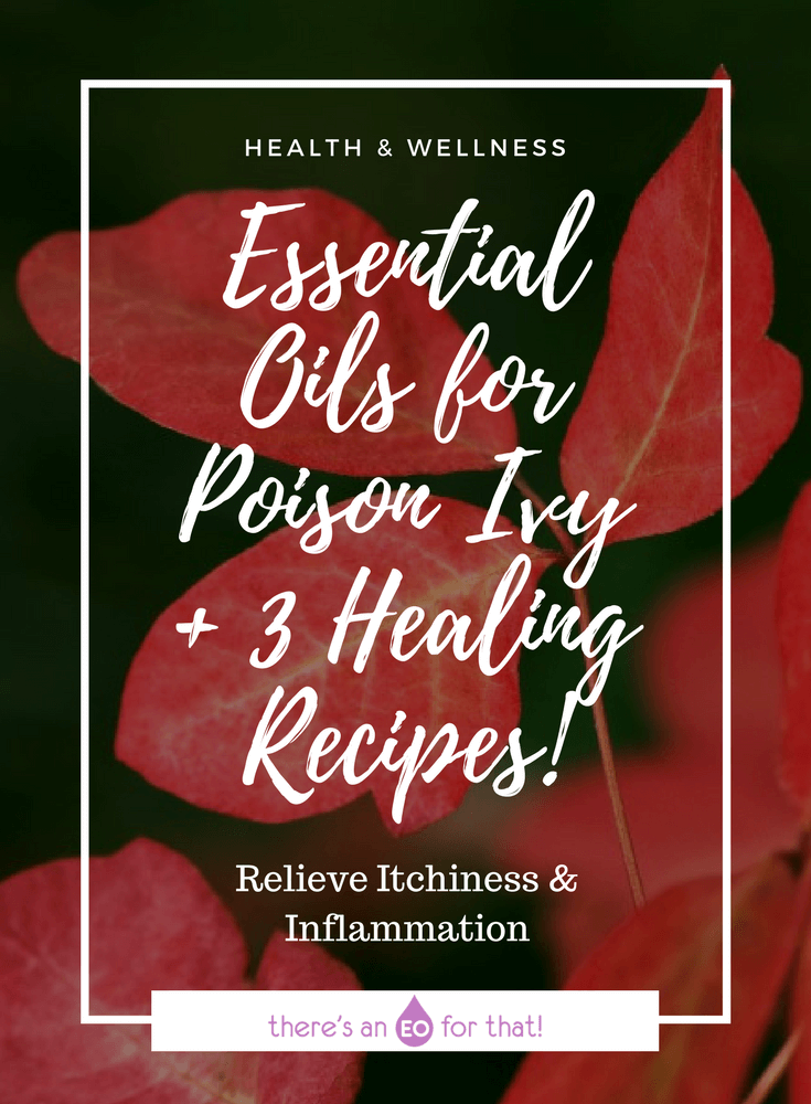 Essential Oils for Poison Ivy + 3 Healing Recipes! - Learn which essential oils are best for treating the symptoms of poison ivy like inflammation, itchy skin, and irritation and how to use them.