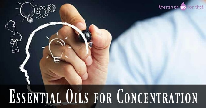 Essential Oils for Concentration