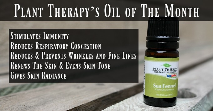 Plant Therapy’s Oil of The Month – Sea Fennel