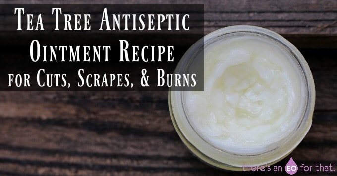 Tea Tree Antiseptic Ointment Recipe for Cuts, Scrapes, & Burns