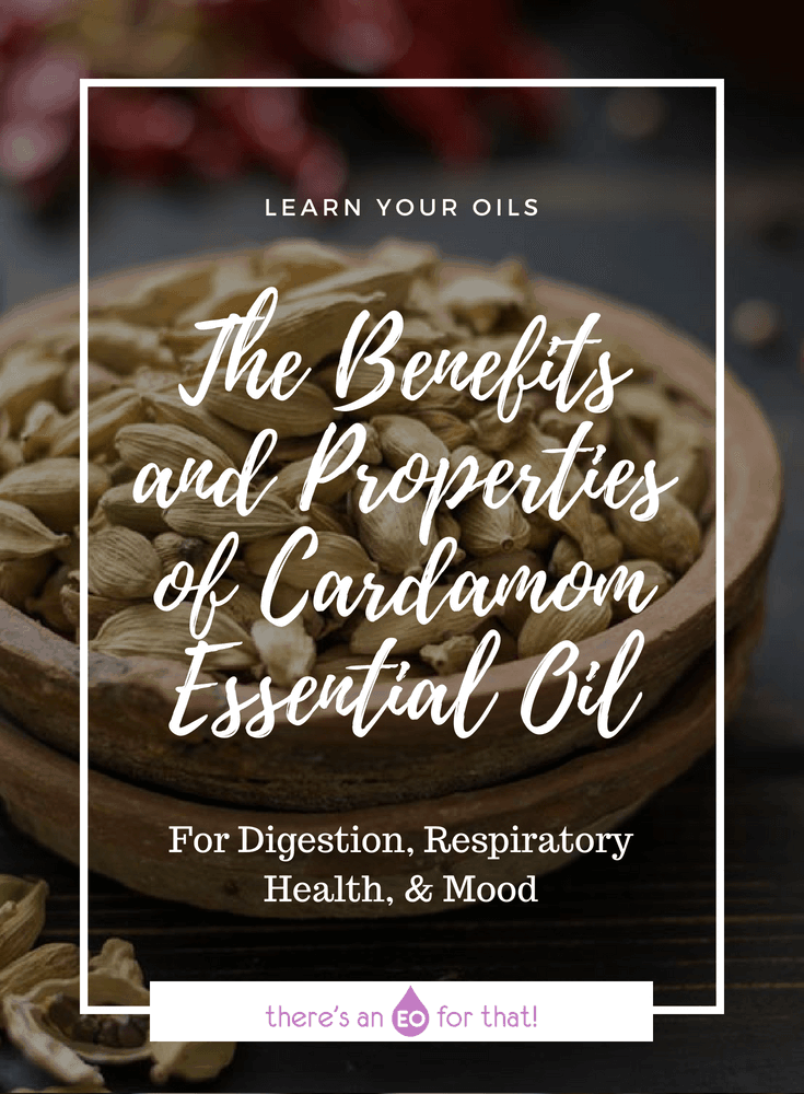 The Benefits and Properties of Cardamom Essential Oil - Cardamom has been used in cooking, perfumery, and medicine since the 4th century BC, perhaps even before! Learn about the properties and benefits of cardamom essential oil and how to use it.