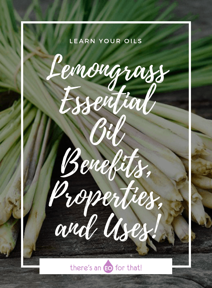 Lemongrass Essential Oil - Benefits, Properties, and Uses! - lemongrass is one of the most popular essential oils in the world and has been used for both its delicious flavor and therapeutic benefits for thousands of years.