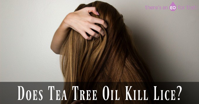 Does Tea Tree Oil Kill Lice? - There's an EO For That!
