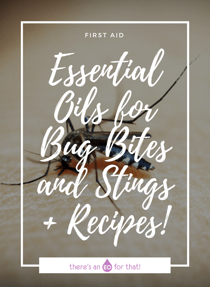 Essential Oils Good for Bug Bites and Stings
