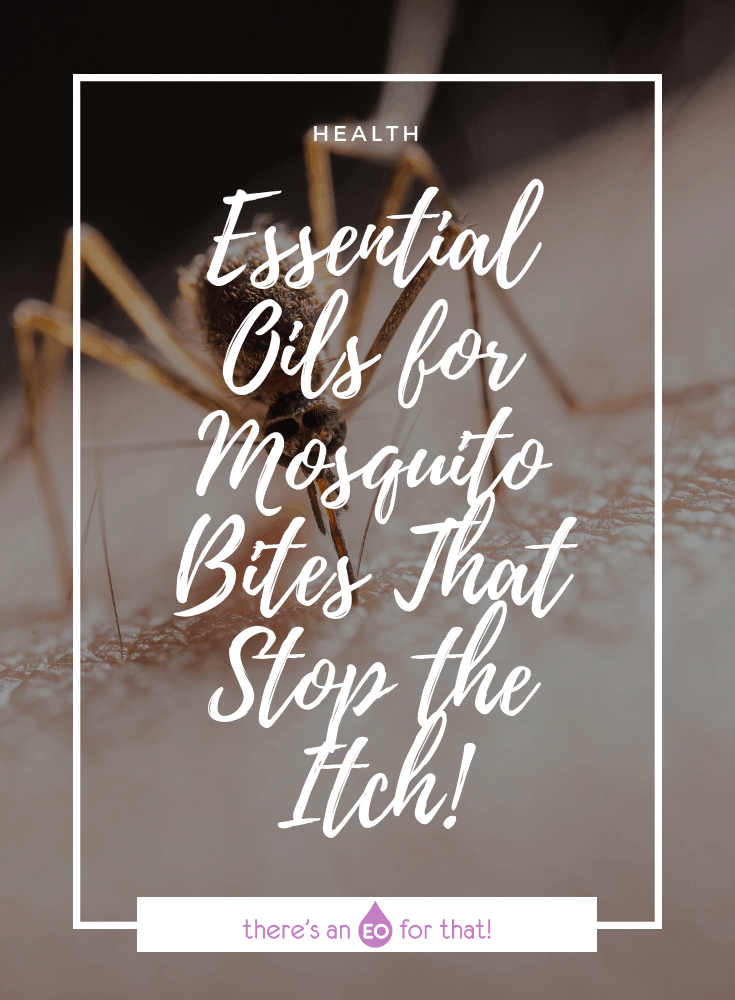 Mosquito biting - the best essential oils for mosquito bites