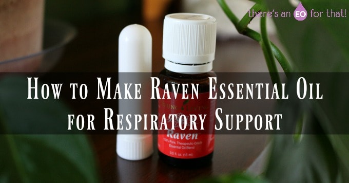 How to Make Raven Essential Oil for Respiratory Support